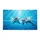 duiyfppz/products/6a2702bd3b391062f35c5cb5/gallery/9sDR8JkyHx