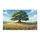 duiyfppz/products/6a270615a2c8de94d8524d19/gallery/gnbJujm1m4