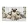duiyfppz/products/6a2707c174ef855fe1399794/gallery/RB7dC8QDCS