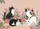 duiyfppz/products/6a27098e0b5ba649a609a8c4/gallery/ObN5JOO_oH