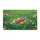 duiyfppz/products/6a270b0a1489f736414206e6/gallery/s_YbbQ_Y4F
