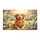 duiyfppz/products/6a270c30ba3ba32a0d3ba52c/gallery/TYcgQSL7nB