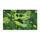 duiyfppz/products/6a2710a50b5ba658c009b060/gallery/fRrBNth54B