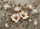 duiyfppz/products/6a2711f0a2c8deb5785258ae/gallery/ghSS5Rdp0I