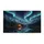 duiyfppz/products/6a27125cdf0379c4ae7ed319/gallery/p_vhYI8_-9