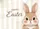 duiyfppz/products/6a2717780ea7b41c487ea1a7/gallery/hkU9bMzc-x