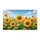 duiyfppz/products/6a271fdb0b5ba64cc809be1e/gallery/II5owSkN66