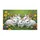 duiyfppz/products/6a2724deba3ba3f8443bbc75/gallery/g9pXjBmgkB