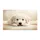 duiyfppz/products/6a2724f60b5ba668e109c2a9/gallery/0rKCVmymP9
