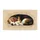 duiyfppz/products/6a2726402bb51e2302e4b245/gallery/MncRQ1BgKX