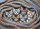 duiyfppz/products/6a2727602bb51e09c4e4b392/gallery/SZCg8ePLi0
