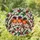 duiyfppz/products/6a278e93ba3ba3c3a03d11e4/gallery/GeS2IEcJ8f