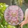 duiyfppz/products/6a27901f0b5ba6933e0ac966/gallery/ulUNw2fh8R