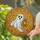 duiyfppz/products/6a279789ba3ba361333d3942/gallery/GX4jrSw1mo