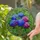 duiyfppz/products/6a2797d60b5ba6d6fb0addbd/gallery/0iwrN7FC4U