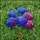 duiyfppz/products/6a2797d60b5ba6d6fb0addbd/gallery/fFOqPyti75