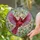 duiyfppz/products/6a2799e169504a47baa1d03a/gallery/DqP0Iveopn