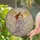 duiyfppz/products/6a279a3669504a647da1d139/gallery/6cz0Ntm5q-