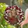 duiyfppz/products/6a279a472bb51e3fc6e5c7ef/gallery/94uCECR6YN