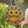duiyfppz/products/6a279a5c2bb51e2e06e5c819/gallery/SP-Ow1D1y-