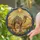 duiyfppz/products/6a279aeeba3ba3af823d4a11/gallery/IOTLf1jUvY
