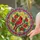 duiyfppz/products/6a279e4f737089b1997588ff/gallery/Co0PY4VyTc
