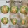 duiyfppz/products/6a27a1ce583657361673bbc5/gallery/DbR6jLwe9f