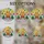 duiyfppz/products/6a27a2aae0fdd9316a768063/gallery/LNgmPxvIOE