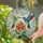 duiyfppz/products/6a27a69774ef8582fc3af439/gallery/gTLomE8R2a