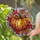 duiyfppz/products/6a27a6fd0b5ba663eb0b028a/gallery/A4bUunsoi0