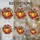 duiyfppz/products/6a27a6fd0b5ba663eb0b028a/gallery/Bs6p1AL2m3