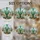 duiyfppz/products/6a27a89a0b5ba6c27f0b05c4/gallery/rtlBnQjVQU
