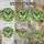 duiyfppz/products/6a27aa2b0b5ba67f870b0d42/gallery/OuOALscQHL