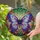 duiyfppz/products/6a27aa5369504ad69ba1f1eb/gallery/5BVNXcPNaF