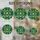 duiyfppz/products/6a27aaaf2bb51e53e2e5ebc1/gallery/rKYLu-U8n_