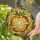 duiyfppz/products/6a27ab7069504a37eea1f3ea/gallery/XKkLV6a5l7