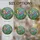 duiyfppz/products/6a27abc5f0af5998f0b6eed6/gallery/UqH8HP7Z1Z