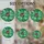 duiyfppz/products/6a27abfc2bb51e12efe5edf1/gallery/fV-fEW1T_L