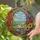 duiyfppz/products/6a27ac8a2bb51e268fe5eeed/gallery/rd_8xttDRH