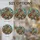 duiyfppz/products/6a27b0ebba3ba3386f3d730e/gallery/NClGSdhxF6