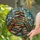 duiyfppz/products/6a27b0ebba3ba3386f3d730e/gallery/_ufNYvBzZP