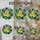 duiyfppz/products/6a27b2f169504a21bba1fd98/gallery/gxqvZn78Xf