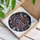 duiyfppz/products/6a27b3002bb51e4731e5f6f3/gallery/jG4XwA6eAl