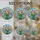 duiyfppz/products/6a27b353ba3ba3027b3d77a5/gallery/MTdurP_Ppr