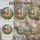 duiyfppz/products/6a27b3f22bb51e06c7e5f9fd/gallery/NOioozYQ8y