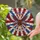 duiyfppz/products/6a27b544ba3ba3ed373d8823/gallery/oVxlDVzP1T