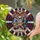 duiyfppz/products/6a27b5542bb51e97dce5fe1f/gallery/2VD0_R1LrA