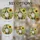 duiyfppz/products/6a27b6fa74ef851ad03b13a2/gallery/xHEP5mELaT