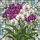 duiyfppz/products/6a27b7a32bb51e658ee60406/gallery/cKFz7Odly7