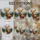 duiyfppz/products/6a27b7d7301d3cc645730f72/gallery/dEpcrYV1dg
